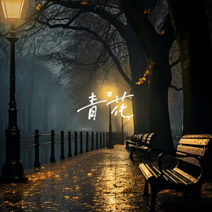 全部免费A级毛片
