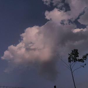 全部免费A级毛片
