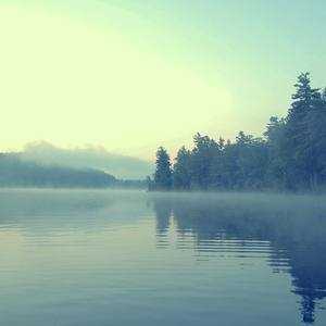 全部免费A级毛片
